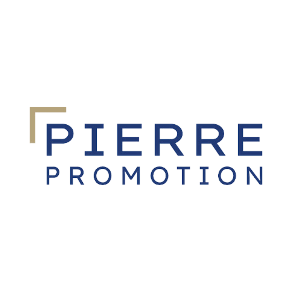 Logo PIERRE PROMOTION